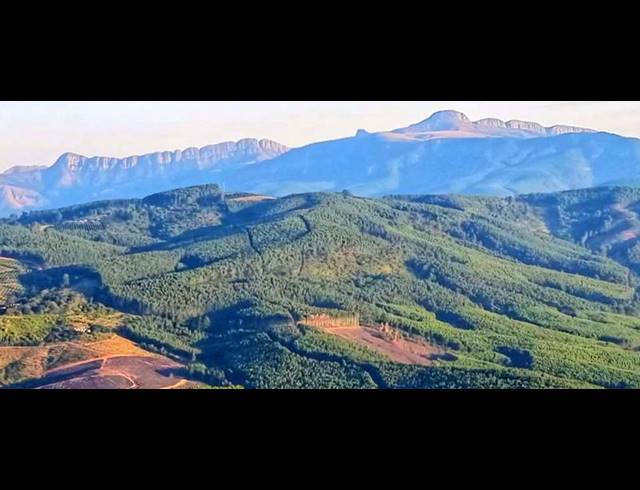 FARM FOR SALE IN TZANEEN RURAL